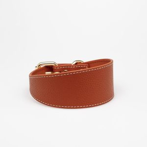 Collier en cuir pour chien lévrier, couleur cognac