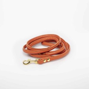 Laisse en cuir, couleur cognac
