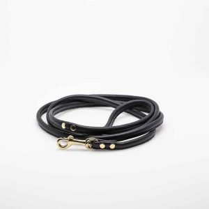 Laisse en cuir, couleur noir